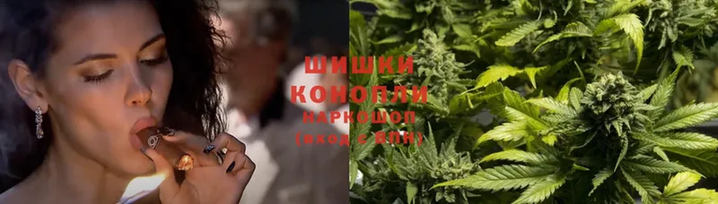 дарнет шоп  Володарск  Бошки марихуана THC 21% 